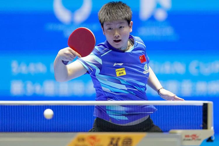 Thái Cực Quyền 24 Thức